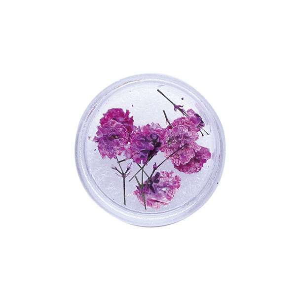 押し花！ 特価 百日草 押し花 - 押し花工房 smailing beruga