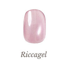 リッカジェル アイアンサンドジェル FE10 3g