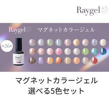 選べるマグネットカラー10g 5色セット