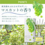 デイリーアロマジャパン 富士山ぶどう リードディフューザー 120ml 3