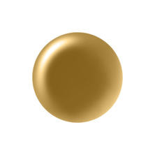 paragel（パラジェル）カラージェル JL04 バーントキャラメル 4g