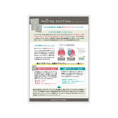 ミネラリア DeepMagバスフレーク A5リーフレット 10部