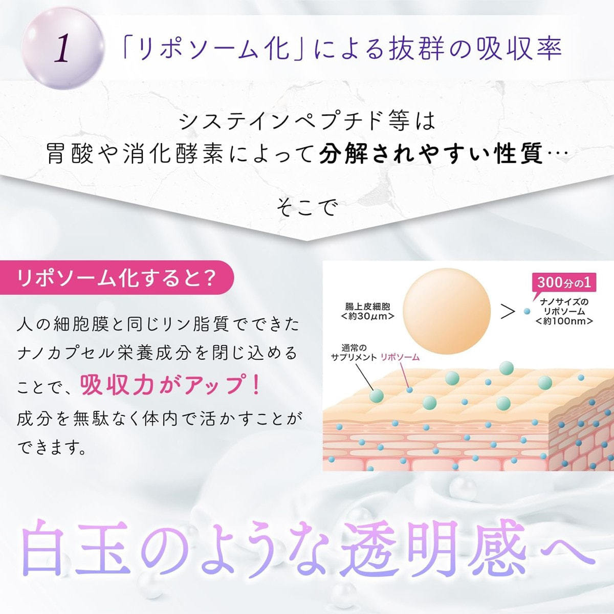 LipoVit リポビットGSH 30袋入 LipoVit GSH（リポビットGSH) 30包入 | リポソーム サプリメントの