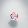 【REVCELL】プレミアムインテンシブスキンアクティブファイバー 30mg×8個 13