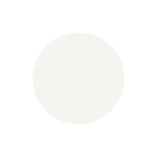 [PG-CE990] プリジェルカラーEX ストーンクレイ