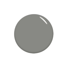 STORYJEL365 カラージェル サイレント 5g（SJS-243S）