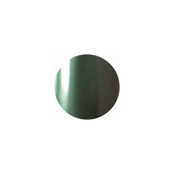 VETRO（ベトロ） カラージェル VL295A カモフラグリーン 4ml