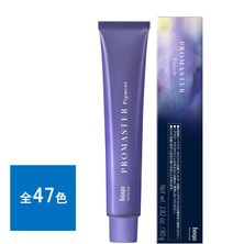 プロマスターピグメント 80g《ファッションカラー》【医薬部外品】