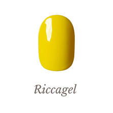 リッカジェル カラージェル 393M 3g