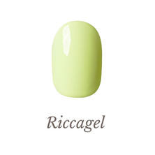 リッカジェル カラージェル 270M 3g