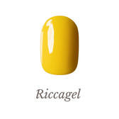 リッカジェル 50個 Riccagel リッカジェル