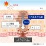エステラボ 薬用エッセンスホワイト 150ml【業務用】 3