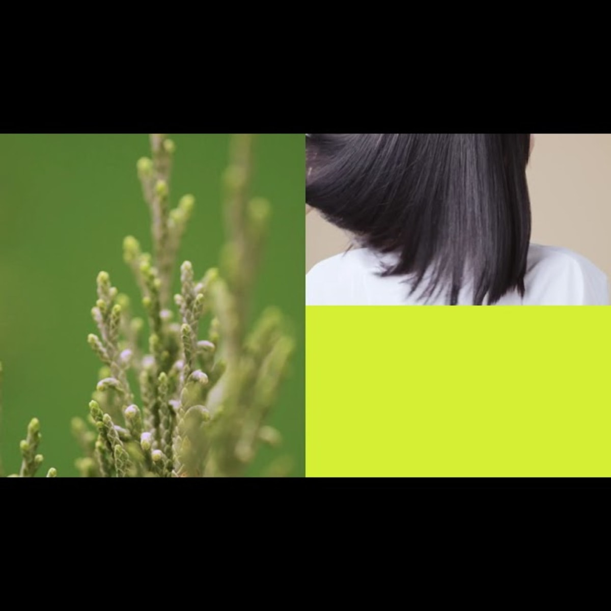 Amazon | キギ バイ シエラ オーガニカ スタイリングバーム