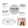 【PERFECT LASH】Takumi GLUE 5g　 4