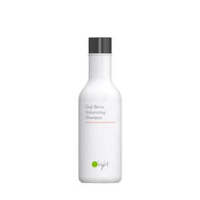 オーライト シャンプーGB(ゴジベリー)100ml≪ボリュームアップ≫ オーライト シャンプーGB(ゴジベリー)100ml≪ボリュームアップ≫