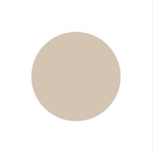 [PGU-M1111] プリジェルミューズ ローストナッツ 3g