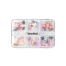 KiraNail（キラネイル）フラワーアラカルト＆ブリオン ケース入り 和花ニュアンス