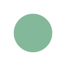 [PGU-S194] プリジェル ミューズ チャイナグリーン 3g