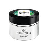 SHINYGEL professional バイオマスジェル トップ 25g