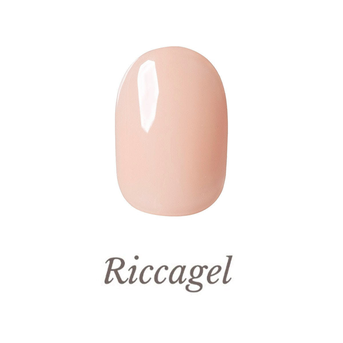 リッカジェル カラージェル 285MS 3gの卸・通販 | ビューティガレージ