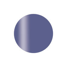 Calgel カラーカルジェルプラス グレイッシュライラック 2.5g