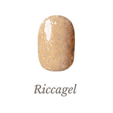 リッカジェル カラージェル 296G 3g