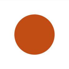 [PG-CE1008] プリジェルカラーEX アンバーブリック