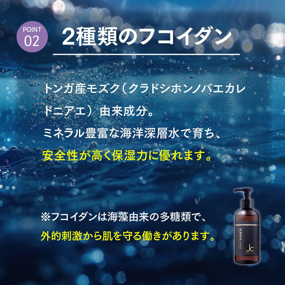 JC SCALP JC スカルプシャンプー 300gの卸・通販 | ビューティガレージ