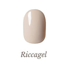 リッカジェル カラージェル 260M 3g