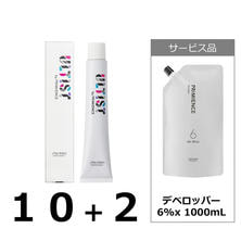 ULTIST アルティスト 80g フリーチョイス12本＋デベロッパー 6%x 1000mL&times;1本【医薬部外品】