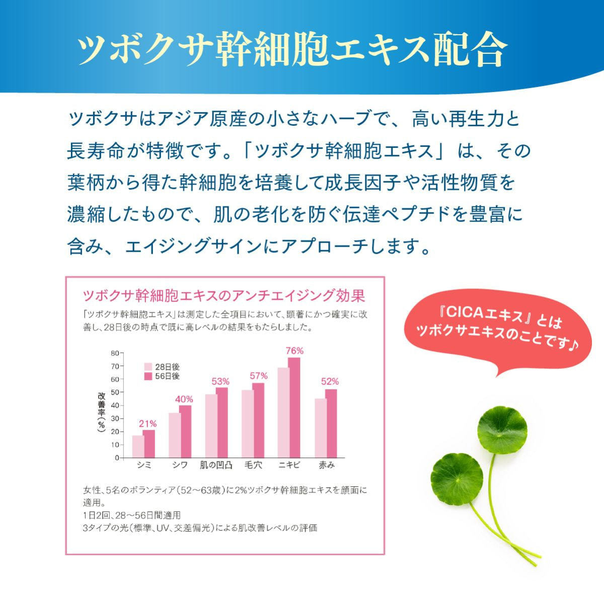 JC 3GFエッセンスリッチプラス (リフィル)100mLの卸・通販
