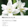 Ashleigh&Burwood インセンス チベットジャスミン30本入 3