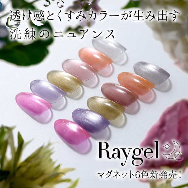 レイジェルマグネットカラージェル 6色セット