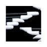 【PERFECT LASH】Lash stick（100本） 2