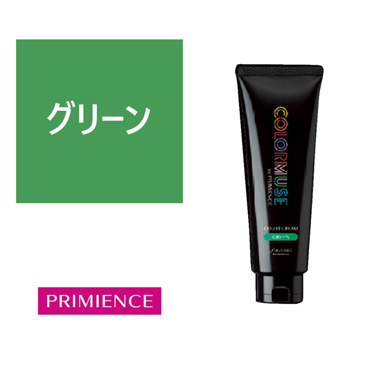 SHISEIDO PROFESSIONAL 資生堂 カラーミューズ 【 GRAY（グレイ