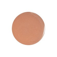 [PG-CE570] プリジェル カラーEX ジンジャーパール-P