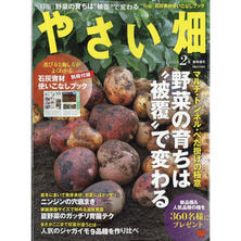【定期購読】やさい畑 [奇数月3日・年間6冊分]
