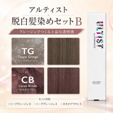 アルティスト 脱白髪染めセットB