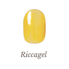 リッカジェル カラージェル 250C 3g