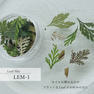 SMint リーフミックス LEM-1 1