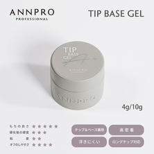 Ann professional チップベース 4g