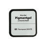 KiraNail（キラネイル）Takeshi プロデュース Pigmentgel  01 Permanent WHITE