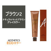 アステティックヘアカラー ナチュラルマットブラウン2 120g《グレイカラー》【医薬部外品】