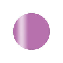 Calgel カラーカルジェルプラス ブリオパープル 2.5g