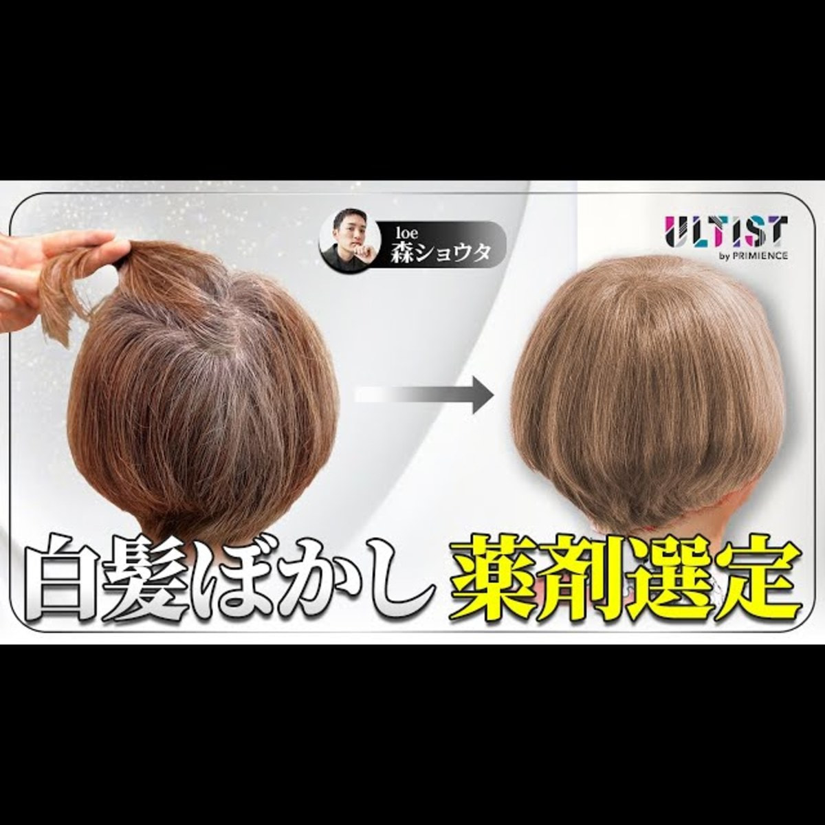 アルティスト EBe/11（アースベージュ）80g 【医薬部外品】の卸・通販