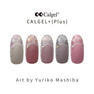 Calgel カラーカルジェルプラス クラッシーベージュ 2.5g 3