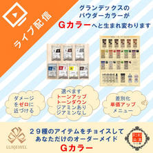 29種のアイテムをチョイスしてあなただけのオーダーメイド「Gカラー」