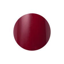 Raygelカラージェル 133M