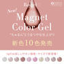 Raygel マグネットカラージェル新色10色セット ５g 1