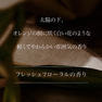 ARTiS di Voce ハイドレーティングボディローション 300g 3301 DEW OF NEROLI 2